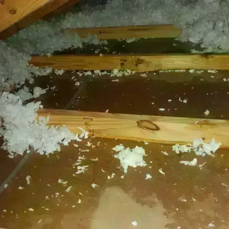 Attic Water Damage in Walnut Cove, NC