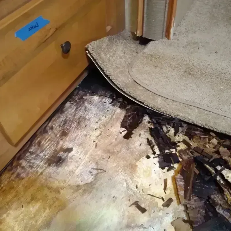 Best Wood Floor Water Damage Service in Walnut Cove, NC